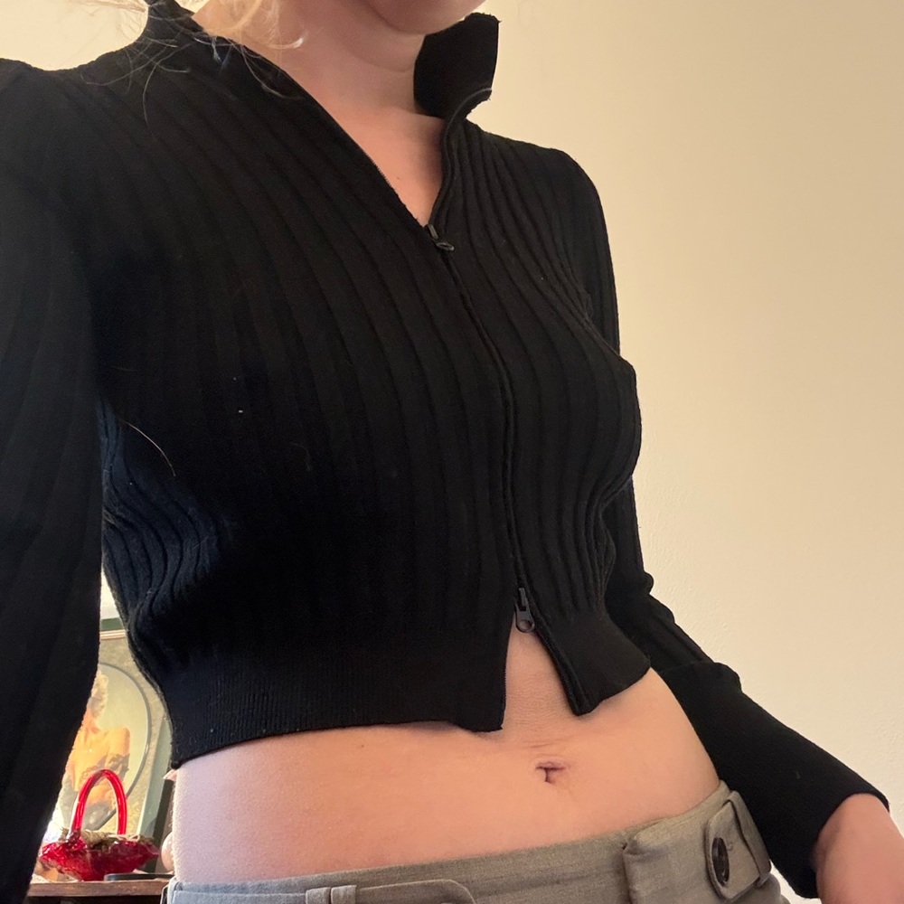wild fable Black Cropped Ribbed V-Neck Zip Sweater